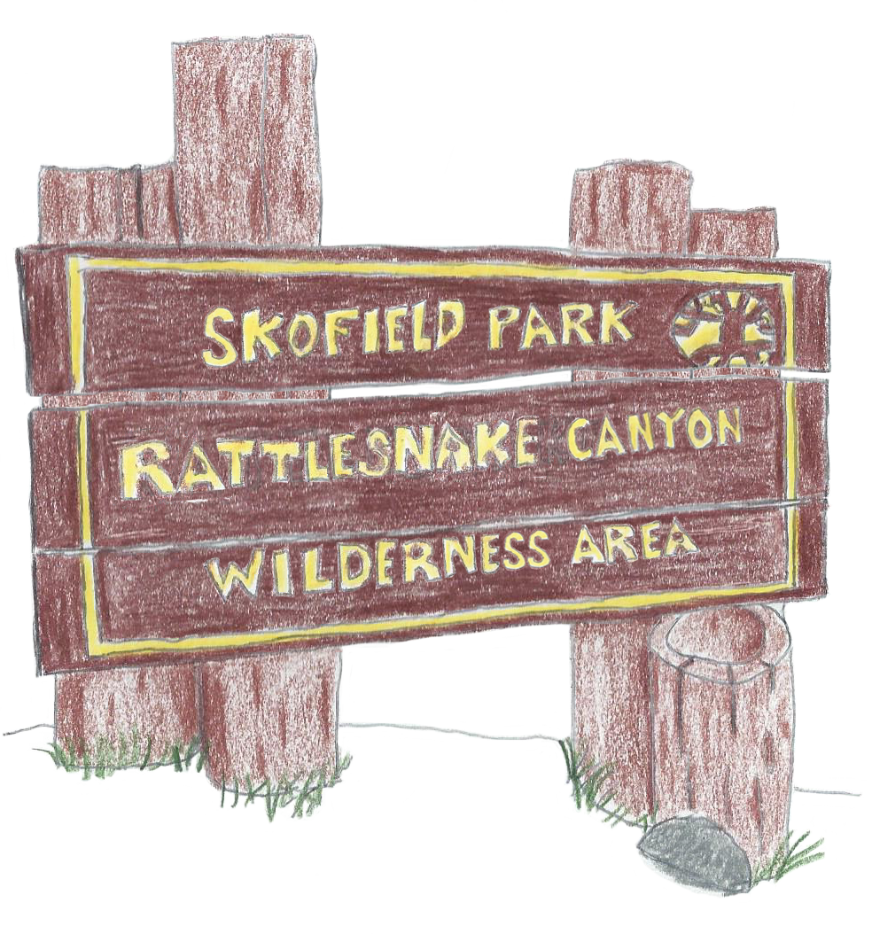 skofield park drawing